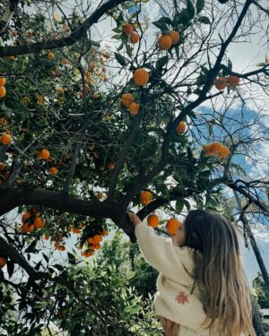 Kayla Ewell Instagram - Well this year was a great success 🐰🤍