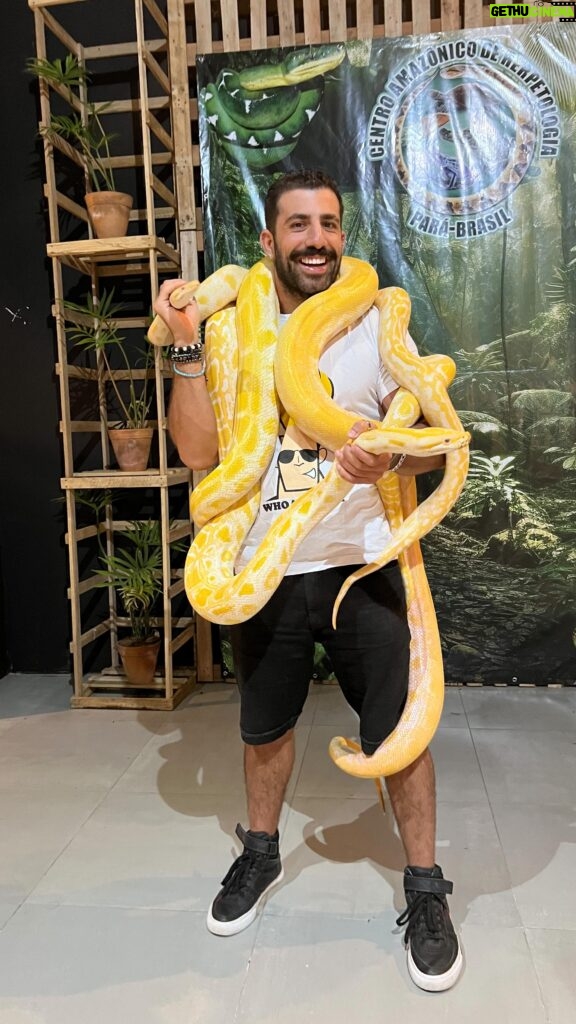 Kaysar Dadour Instagram - Agora só oficialmente uma cobra 🐍 #kaysar #cobra #cobras #exposição #visitpara #belémdopará #amazonia #amazônia #pará #sucuri #snake #kaysardadour #melhordianomundo
