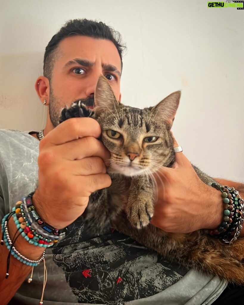 Kaysar Dadour Instagram - Carinha de Sapeca miauuu 🐈‍⬛ #gato #gatos #kaysar #sapeca #kaysardadour #cat #catsofinstagram #melhordianomundo #gatas #gata #animalovers #animais