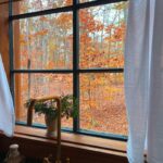 Kellan Lutz Instagram - I’ll never stop falling for you baby 🥰🤎🍁🍂 Had the sweetest little staycation celebrating our 6th anniversary. This treehouse was SO beautiful and the perfect place to getaway and reflect on last year and pray into/make plans and goals for year 7. There’s no one on the planet I’d rather grow and build with than the one I got. 🥰