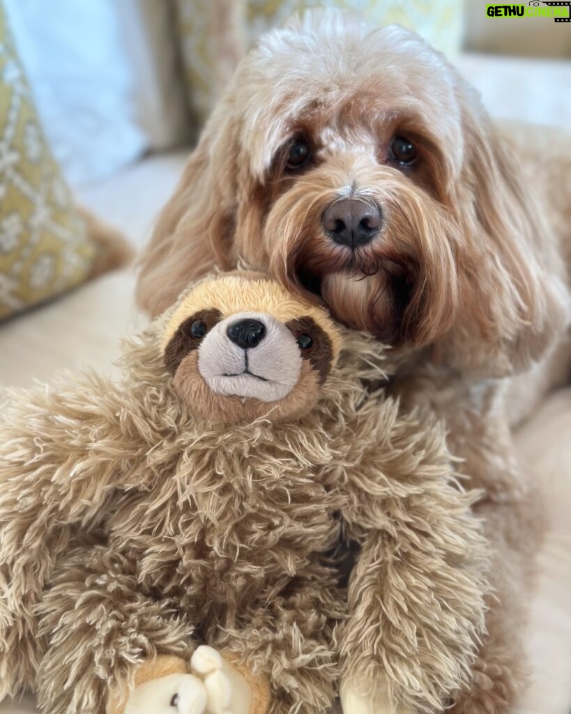 Kelly Brook Instagram - Teddy 💘 🦥