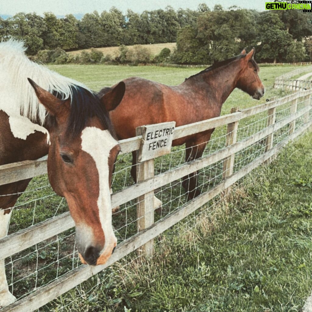 Kelly Brook Instagram - 🐝🐴🎾🧸🌶️ 💐🐐