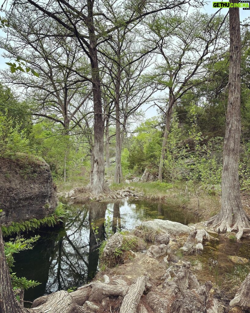 Kelly Brook Instagram - We packed a lot in already and think we’ve found our new Fav city in the USA ! If you Love Wildflowers, Wild Swimming, amazing Food Trucks and the best Music then Austin seems to have it all! No wonder all my Angeleno Friends move here!! In Love with Texas already 🤠📍⭐️🇺🇸🦇 Just a Few Highlights! More to come 👍🏻⭐️ @visitaustintx @traveltex #Texastodo #LetsTexas #PRTrip