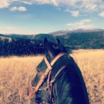 Kelly Reilly Instagram - Morning ride with my guy Bart. Thank you @theranchatrockcreek for having us back 🦅