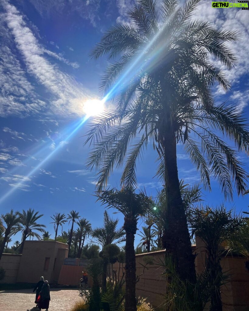 Kelly Vedovelli Instagram - Last From Marrakech 🇲🇦 Beauty
