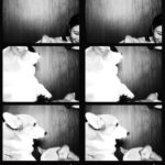 Kemisara Paladesh Instagram - 🐶🐶🐶🐶 woof woof Friday night