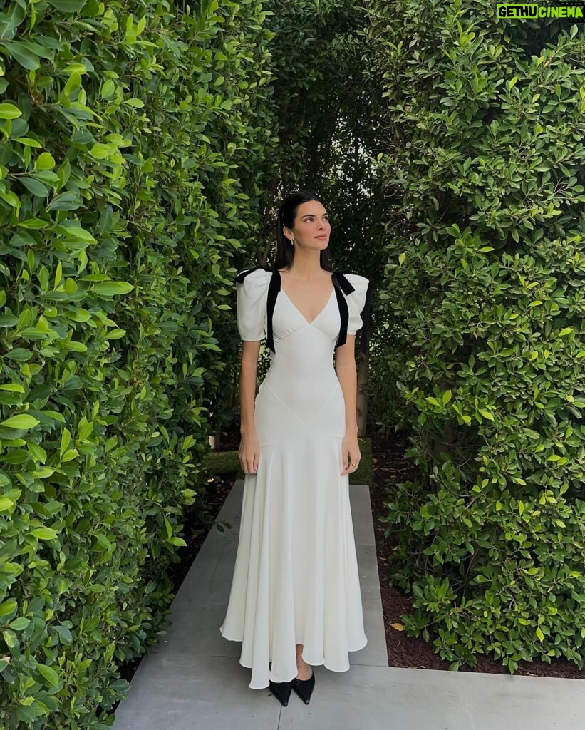 Kendall Jenner Instagram - dress of my dreams