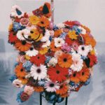 Kenshi Yonezu Instagram -