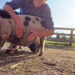 Kevin Bacon Instagram - I collaborated with Johnny on this piece called “Pig Belly.”