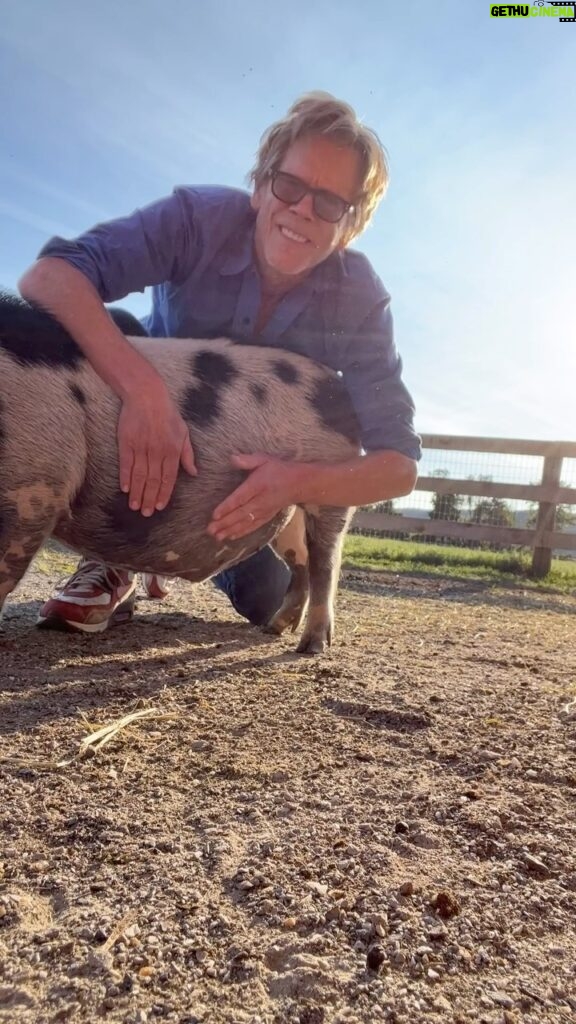 Kevin Bacon Instagram - I collaborated with Johnny on this piece called “Pig Belly.”