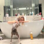 Kiera Bridget Instagram - nights in Vegas lead to mornings like these. Every time. Swipe 😭