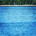 Kim Cattrall Instagram - Back yard. Front seat. @hellobc