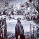 Kim Cattrall Instagram - Taking care of business..#TCB