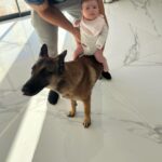 Kim Glow Instagram - Les instants magiques où ma petite merveille joue avec son grand frère Thaïger . Une complicité pleine de tendresse, où il veille sur elle comme un grand frère protecteur🥹 Mon petit amour qui grandit à son propre rythme ! La pédiatre dit qu’elle a pris un peu de poids que prévue , mais c’est juste elle qui décides de grandir à la vitesse de la lumière. 🌟 Pas d’inquiétude, ma merveille, tu es parfaite comme tu es, et chaque gramme supplémentaire est juste une dose d’amour en plus.🩷 #taliaglow #babygirl #newborn #malinois #bergerbelgemalinois