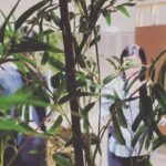 Kim Hee-seon Instagram - 🎧 < ATO ; 아름다운 선물 展 > 김희선 ( E : PLE ) 더 현대 6 층 ㅡ 여의도 2023년 9월 22일부터 ~ 10월 15일까지 💛이번 전시는 여러분들에게 특별한 선물이 되었으면 합니다💋 #미술 #전시 #ATO #아름다운선물 #김희선 #더현대 #hinge_entertainment #h.art.ent #ATO #아름다운선물展 #초대전시 #무료전시
