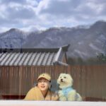 Kim Jae-kyung Instagram - 힐링🌿🐶🌿