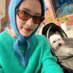 Kim Jae-kyung Instagram - 🌿🤪❄️🍊🐶 #alchemistJK
