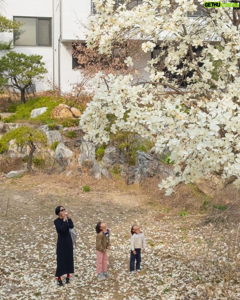 Kim Na-young Instagram - 사방을 둘러봐도 꽃인 아름다운 봄이다🌸🌷