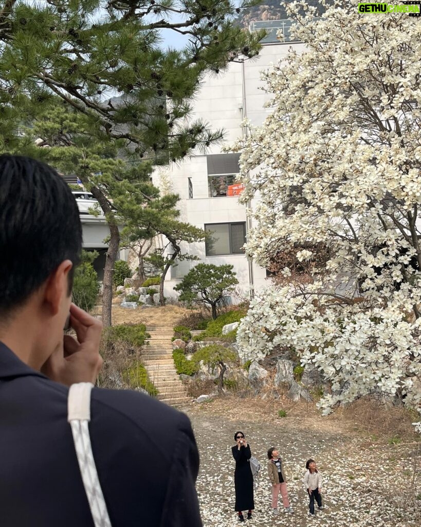 Kim Na-young Instagram - 사방을 둘러봐도 꽃인 아름다운 봄이다🌸🌷