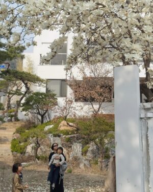 Kim Na-young Instagram - 사방을 둘러봐도 꽃인 아름다운 봄이다🌸🌷
