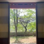 Kim Na-young Instagram - 모두 평화로운 하루 보내세요🍃