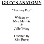 Kim Raver Instagram - “What a gift this episode was to direct! I will be forever grateful for the incredible collaboration, and the #GreysAnatomy and #Shondaland family. Thank you to the amazing, writers, producers, mentors, brilliant actors, and crew who lifted me up during the making of episode #1911 “Training Day” ❤️” - Kim Raver