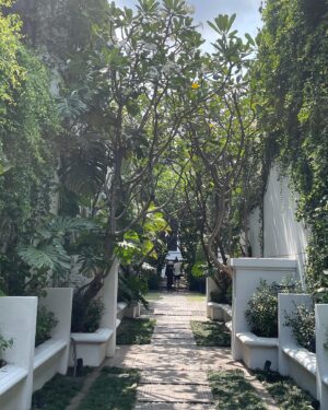 Kim So-yeon Instagram - 🌳🥰