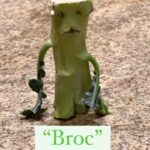 Kimberly Williams-Paisley Instagram – The life and adventures of Broc. Inspired by a character created by son Jasper. 🥦🥦🥦❤️

#broccoli #broccolilover #broccoliart #sunday #sundayfunday #broc #weird
