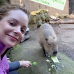 Kimberly Williams-Paisley Instagram – Spent quality time with a capybara today at the @santabarbarazoo  #capybara  #lworldslargestrodent ❤️❤️❤️❤️❤️😁😁😁