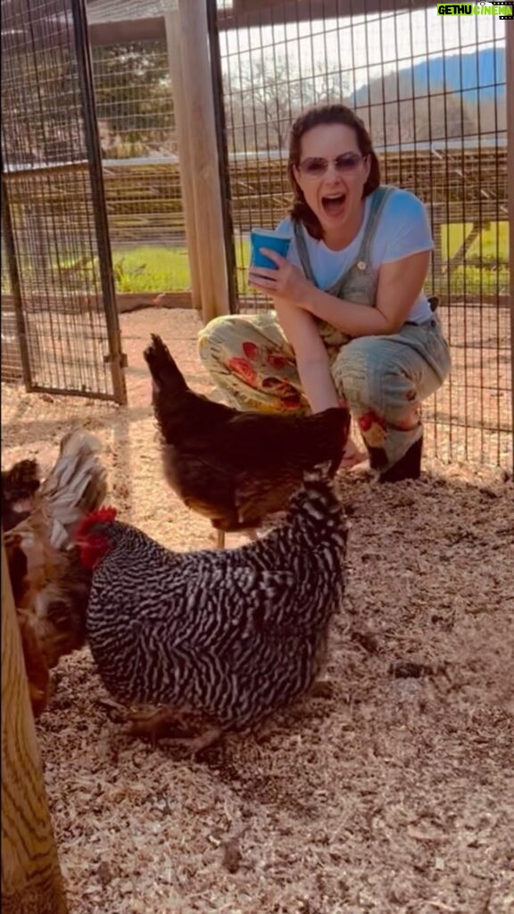 Kimberly Williams-Paisley Instagram - Got to pretend I was a farm girl in #Sonoma this weekend! 🐓🐓🥬❤️❤️🙏🏻