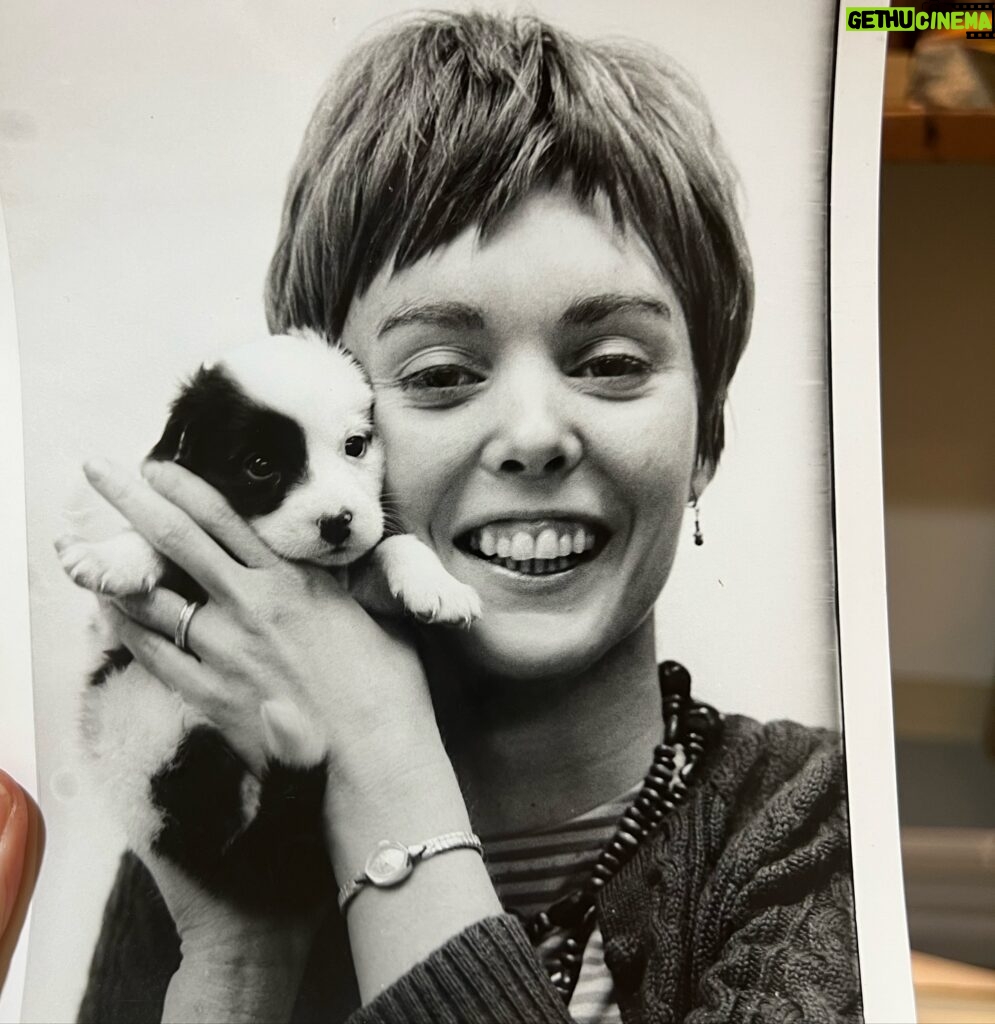 Kimberly Williams-Paisley Instagram - Found this pic of my mom with her and my dad’s first and only puppy, Hathaway. They had him for less than a week when they decided they couldn’t possibly take care of him with their busy careers as journalists. A few years later, I surprised them with my arrival, and Mom and Dad started having kids rather than dogs until Popcorn, a puffy Bichon we had for less than two days when I was in high school. After a few accidents on the rug, that dog was sent packing and Mom and Dad decided we just weren’t a dog family. But then I grew up! And learned how to do it properly (there are tips and tricks!!) and now we are a happy and proud dog family. Yay! Isn’t it nice when you can make different decisions than your parents? ❤️😁 🐶 #adoptdontshop #friyay #flashbackfriday