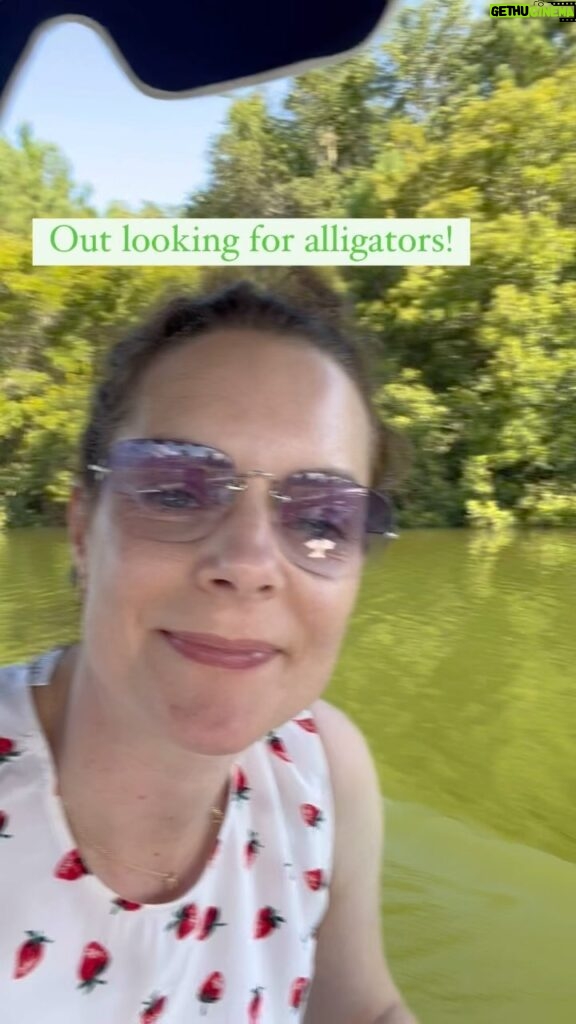 Kimberly Williams-Paisley Instagram - Out looking for #gators in #southcarolina and wow we found some!! 🐊🐊🐊🌞