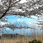 Klebber Toledo Instagram - Natureza 🇯🇵🤍