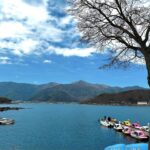 Klebber Toledo Instagram - Natureza 🇯🇵🤍