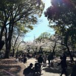 Klebber Toledo Instagram - Hoje conheci o Museu Nacional de Arte Ocidental que fica dentro do parque Ueno, onde pude ver Picasso, Miró, Monet e muitos outros artistas… depois aproveitei pra dar uma caminhada pelo parque. Recomendo para todos que vierem para Tokyo. Obs: tem um sismógrafo em cada sala🫣 cuidado nunca é demais. Arte faz bem👊🏻