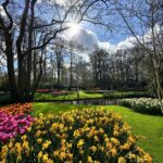 Klebber Toledo Instagram - 🌷✨