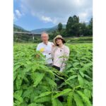 Ko Shibasaki Instagram - 佐世保にある菌ちゃんふぁーむ。 菌ちゃん先生こと吉田俊道さんへ日頃の感謝を伝えに訪れることが叶いました✨ この日も大変暑かったけれど、菌ちゃん畑には清しい空気が流れていました☺️ スタッフの皆さんもどうもありがとうございました♡ #菌ちゃんふぁーむ #吉田俊道先生 #佐世保 #夏休みの思い出 #5枚目は #髪を40センチ伸ばします
