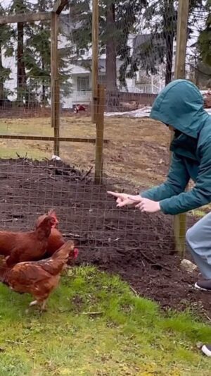 Kris Collins Instagram - KallmeFarmerKris 🐓