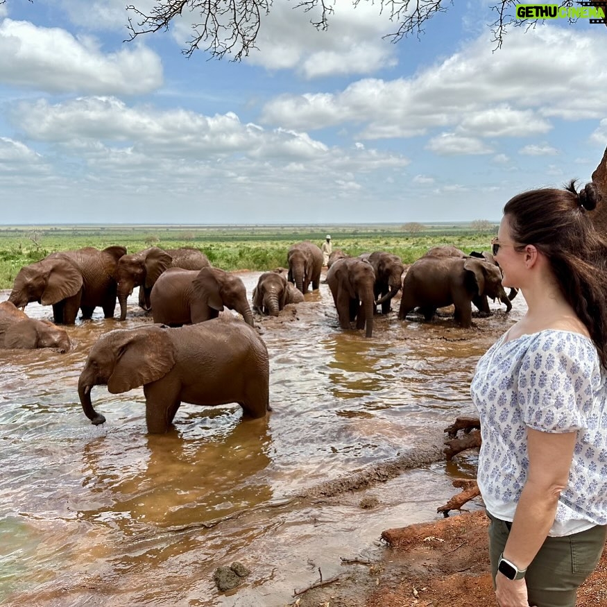 Kristin Davis Instagram - Today is #worldwildlifeday and I want to celebrate everyone who supports the groups all over the world who are working to protect the wild animals that we still have. It takes a tremendous amount of hard work and bravery to protect these precious animals. So many people are doing great work! I am lucky to know the @sheldricktrust since 2009, and i could not be more proud of the work they do , 30 anti- poaching teams, 6 vet units, 320 orphans raised and released back to the wild, 45 years of service. I love them and I love all of you who support in so many ways ❣️ 🐘🦏🦒🐃🐗🦉💚