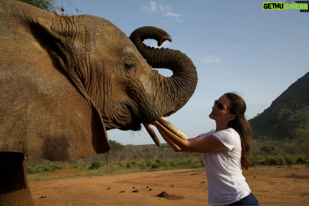 Kristin Davis Instagram - Happy Earth Day!! These pictures are from my time with the Sheldrick Trust, an organization that I hold so close to my heart. Maybe this Earth Day, you could plant a seed, take a hike, or even help foster an elephant! 🐘 ❤️🌎