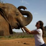 Kristin Davis Instagram – Happy Earth Day!! These pictures are from my time with the Sheldrick Trust, an organization that I hold so close to my heart. Maybe this Earth Day, you could plant a seed, take a hike, or even help foster an elephant! 🐘 ❤️🌎