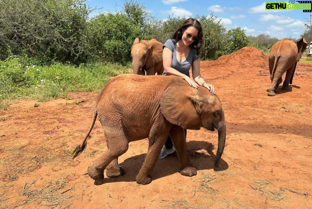 Kristin Davis Instagram - Happy Earth Day!! These pictures are from my time with the Sheldrick Trust, an organization that I hold so close to my heart. Maybe this Earth Day, you could plant a seed, take a hike, or even help foster an elephant! 🐘 ❤️🌎