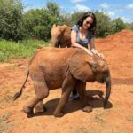Kristin Davis Instagram – Happy Earth Day!! These pictures are from my time with the Sheldrick Trust, an organization that I hold so close to my heart. Maybe this Earth Day, you could plant a seed, take a hike, or even help foster an elephant! 🐘 ❤️🌎