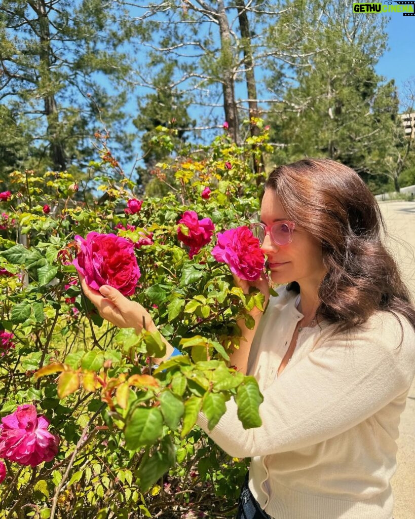 Kristin Davis Instagram - Spring has sprung! So happy to have these beautiful roses blooming all around my house!