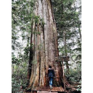 Kristin Kreuk Instagram - First adventure of 2023. TREES!!!! OCEAN!!! (These are mostly from Tofino, BC)