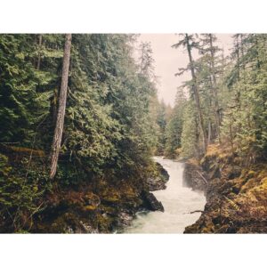 Kristin Kreuk Instagram - First adventure of 2023. TREES!!!! OCEAN!!! (These are mostly from Tofino, BC)