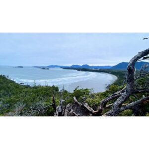 Kristin Kreuk Instagram - First adventure of 2023. TREES!!!! OCEAN!!! (These are mostly from Tofino, BC)