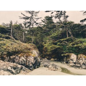 Kristin Kreuk Instagram - First adventure of 2023. TREES!!!! OCEAN!!! (These are mostly from Tofino, BC)