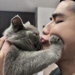Kunatip Pinpradub Instagram - เมื่อผมอยากจูบเเมว เอิ่ม @zsiga_poounpooun