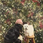 Kwon So-hyun Instagram - 너와 나의 크리스마스 🎄 크리스마스 이브는 권총이 태어난 날~🫶 Happy birthday Kwon Chong🎁🎂🎁🎂 Merry Christmas 🎄🎁